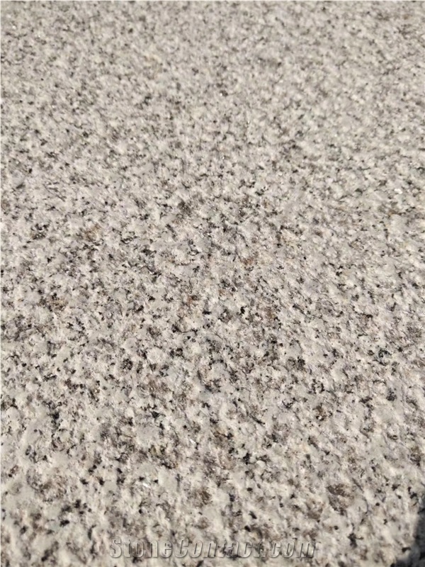 Golden Hemp Medium Granite for Wall Tiles