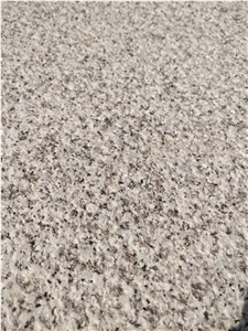 Golden Hemp Medium Granite for Wall Tiles