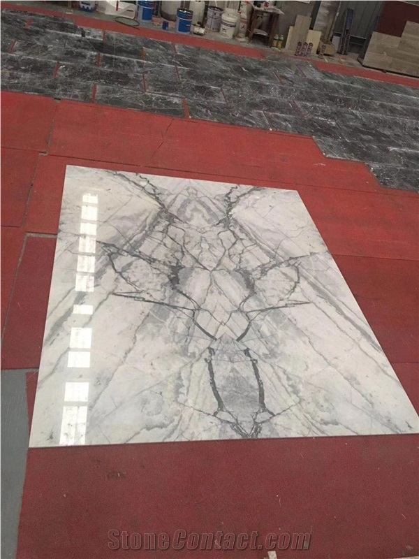 New Bianco Calacatta Marble for Wall Tile