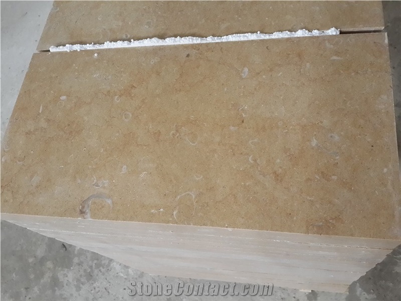 Jerusalem Gold Shell A55 Limestone Tiles