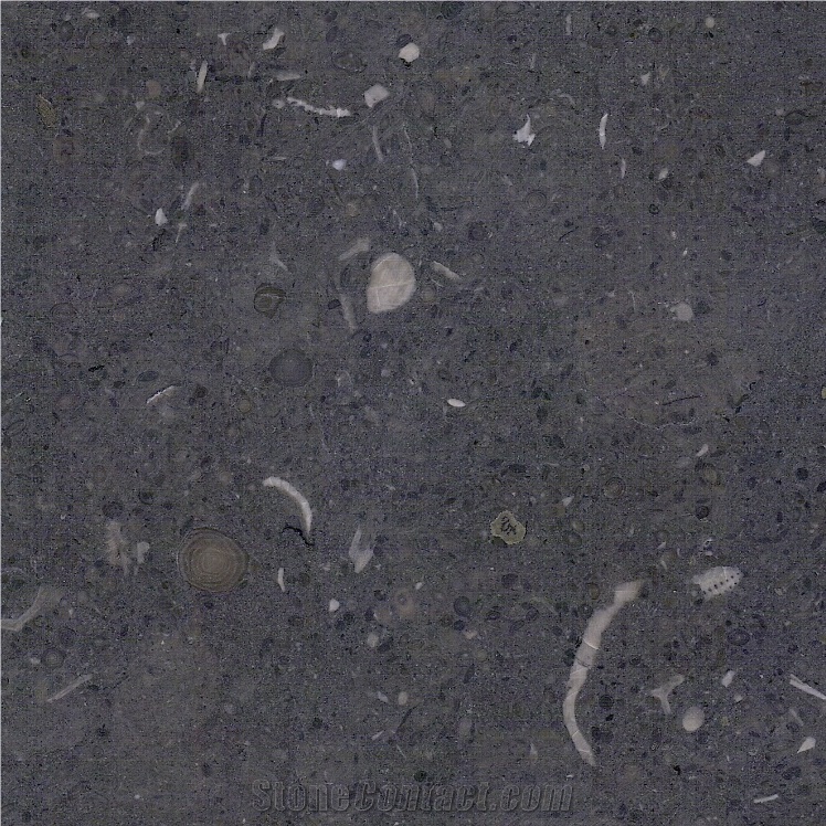 Gris De Catalan Limestone Honed Slabs