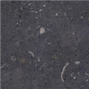Gris De Catalan Limestone Honed Slabs