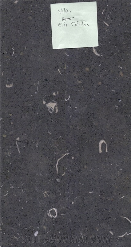 Gris De Catalan Limestone Honed Slabs