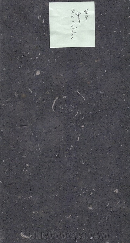 Gris De Catalan Limestone Honed Slabs