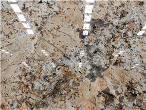 Amarelo Persa Granite,Cream Persa Granite Slabs