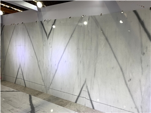Calacatta Joyce Marble Slabs White Quarry Owner