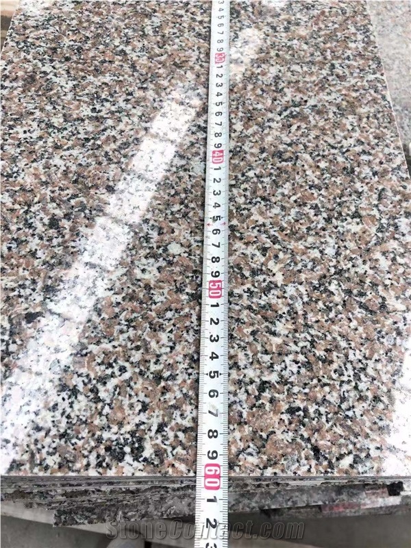 Wulian Flower Granite G361 New G664 Tiles