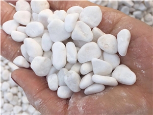 Garden Natural Tumbled Round Snow White Pebble Stone