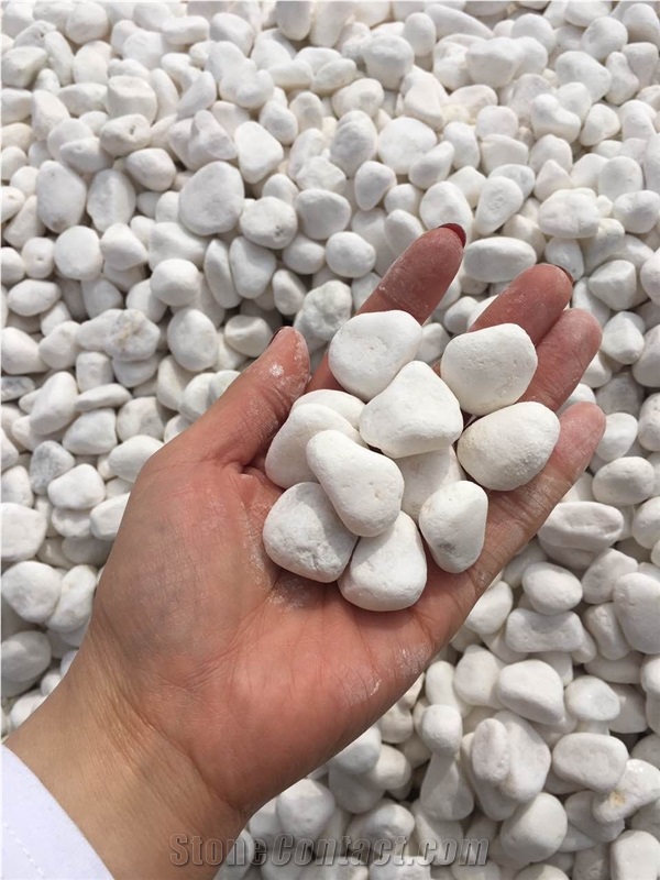 Garden Natural Tumbled Round Snow White Pebble Stone