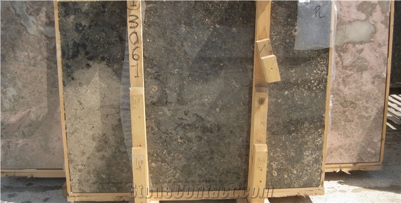 Rasotica Limestone Slabs