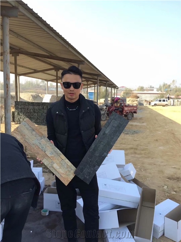 China Culture Stone/Natural Stone Wall Cladding