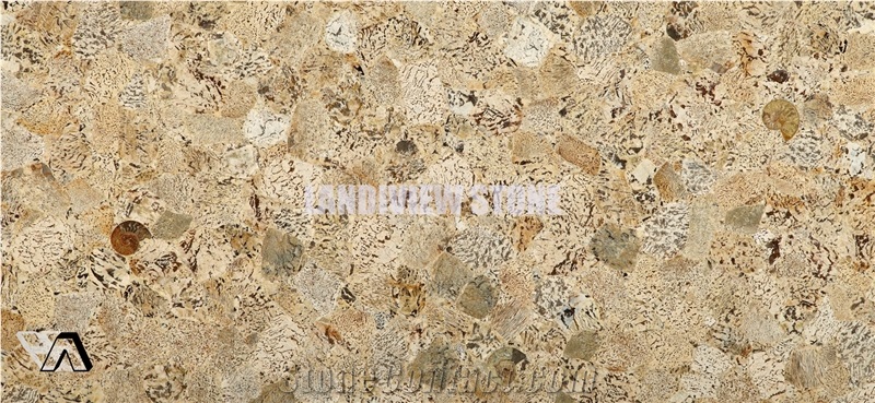 Graphic Feldspar Semiprecious Tiles Slabs Wall