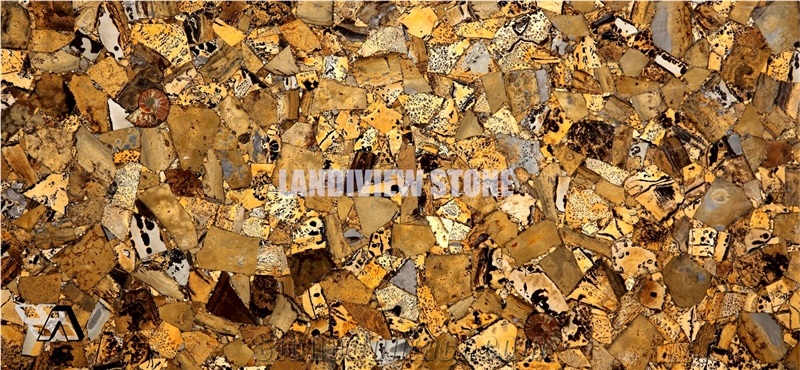 Grass Fossil Gemstone Tiles Slabs Wall