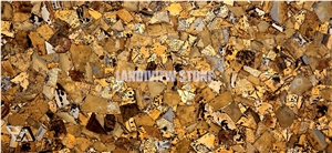 Grass Fossil Gemstone Tiles Slabs Wall