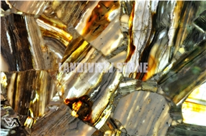 Wooden Agate Backlit Semiprecious Tiles Slabs Wall