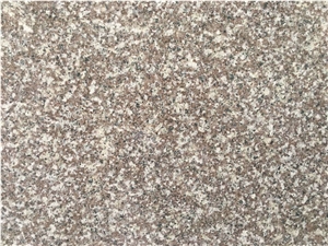 China Cheap G664 Polished Red Granite Big Slabs