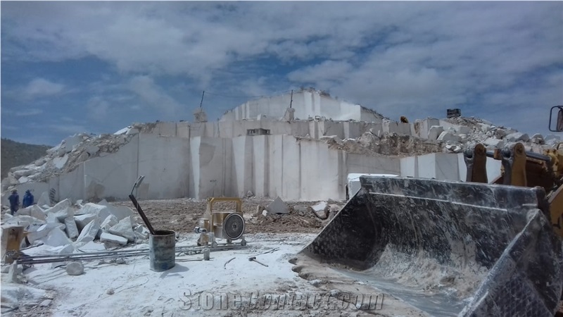 Ojinaga Limestone Slabs Tile