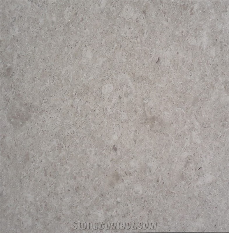 Ojinaga Limestone Slabs Tile