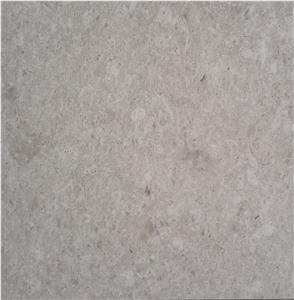 Ojinaga Limestone Slabs Tile