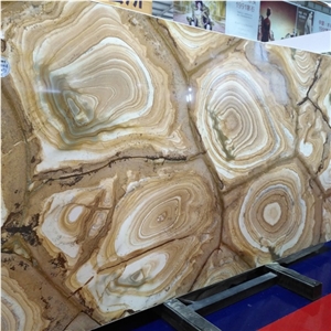 Brazil Gold Flamenco Quartzite Slab