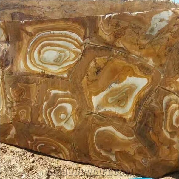 Gold Palomino Quartzite Slab