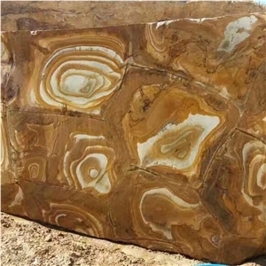 Gold Palomino Quartzite Slab