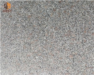 White Coral Pearl Granite Slab