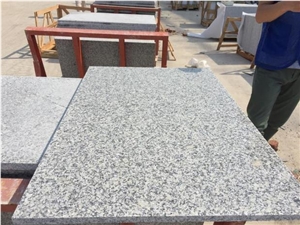 Honed China New Bianco Sardo Granite Slab and Tile