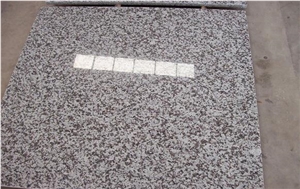 Polished China Bianco Sardo Granite Slab and Tile
