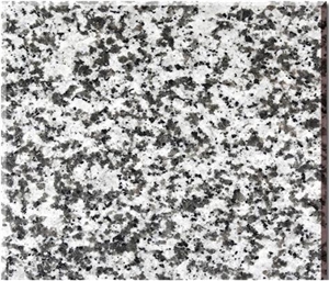 Polished China Bianco Sardo Granite Slab and Tile