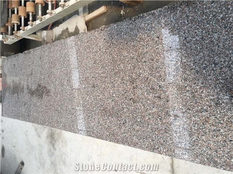 Polished China G664 Granite Slab and Tiles