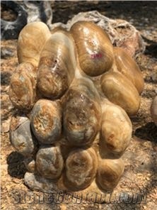 Pebble Showstones Garden Rock Stone