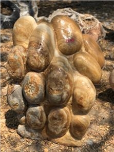 Pebble Showstones Garden Rock Stone