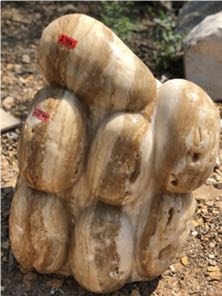 Pebble Showstones Garden Rock Stone