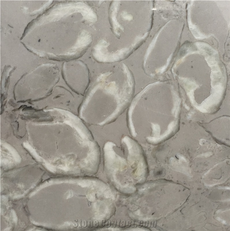 Leopard Skin Flower Marble Slab & Floor Tile Price