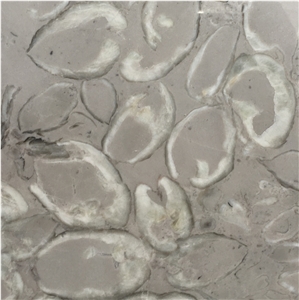 Leopard Skin Flower Marble Slab & Floor Tile Price