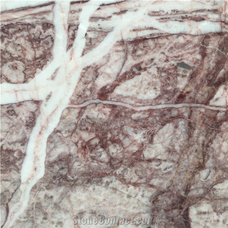 Purple Phoenix Marble Slabs & Wall Flooring Tiles