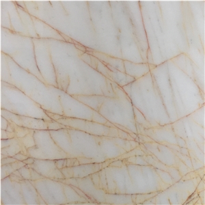 Whosale Cheap Golden Spiders Marble Slabs Price
