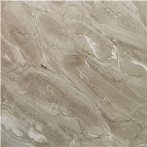 Whosale Polished Dino Beige Marble Slabs Price