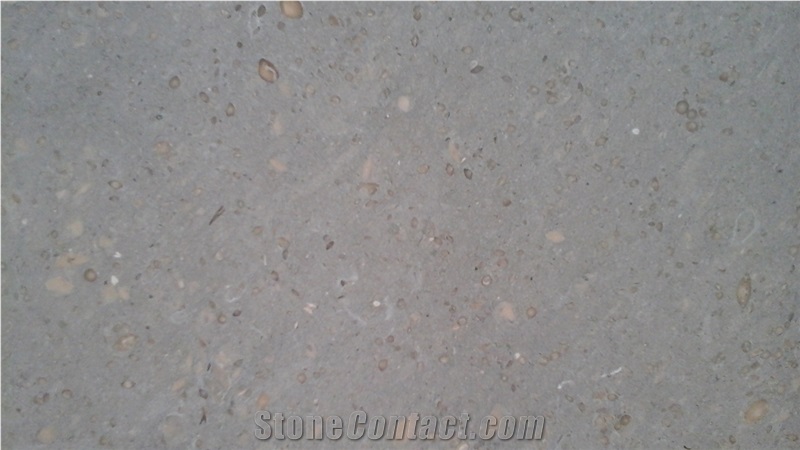 Caliza Tina Limestone Polished Floor, Flamed Wall