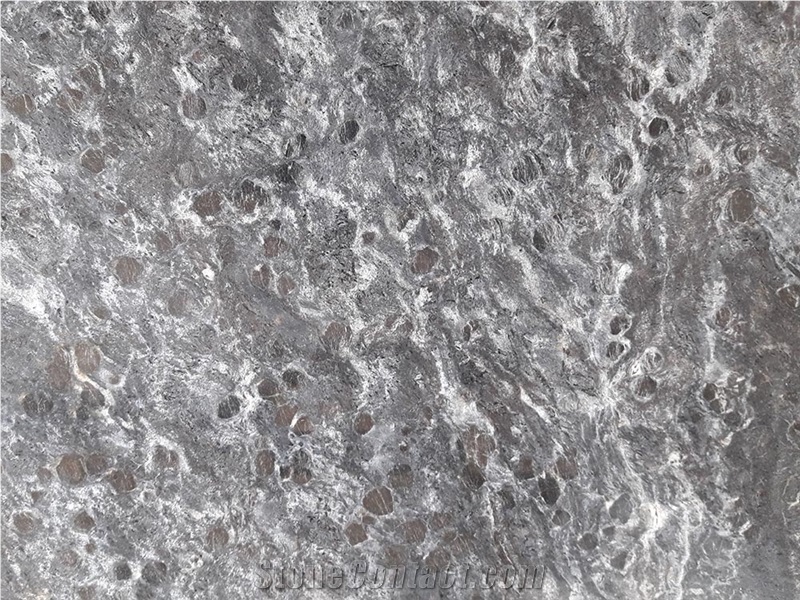 Nero Silver Black Gneiss Slabs, Passeirer Gneiss