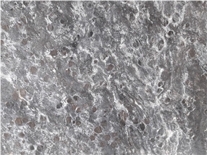 Nero Silver Black Gneiss Slabs, Passeirer Gneiss