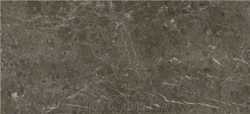 Olive Marone Light Marble Slabs & Tiles