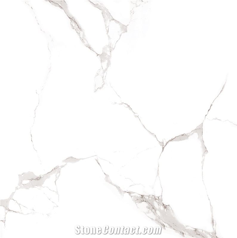 Ceramic and Porcelain Tiles