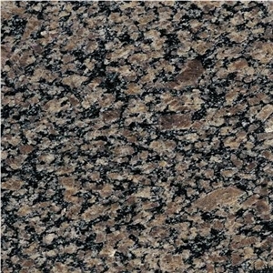 Cafe Brown Granite Tiles 60x60