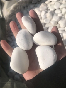 Natural Dolomite Tumbled Snow White Pebble Stone