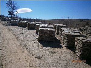 Beige Gneiss Stone Flagstones, Gneiss Flagstones Natural Shape Polygonal