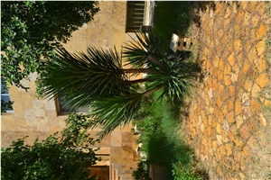 Jordan Gold Travertine Cobbles