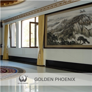 Nano Crystallized Panels for House Decoration