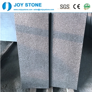 Cheap Natural Grey Basalt Stone Tiles for Floor